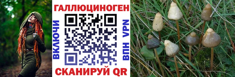сайты даркнета телеграм  Энем  Галлюциногенные грибы ЛСД 